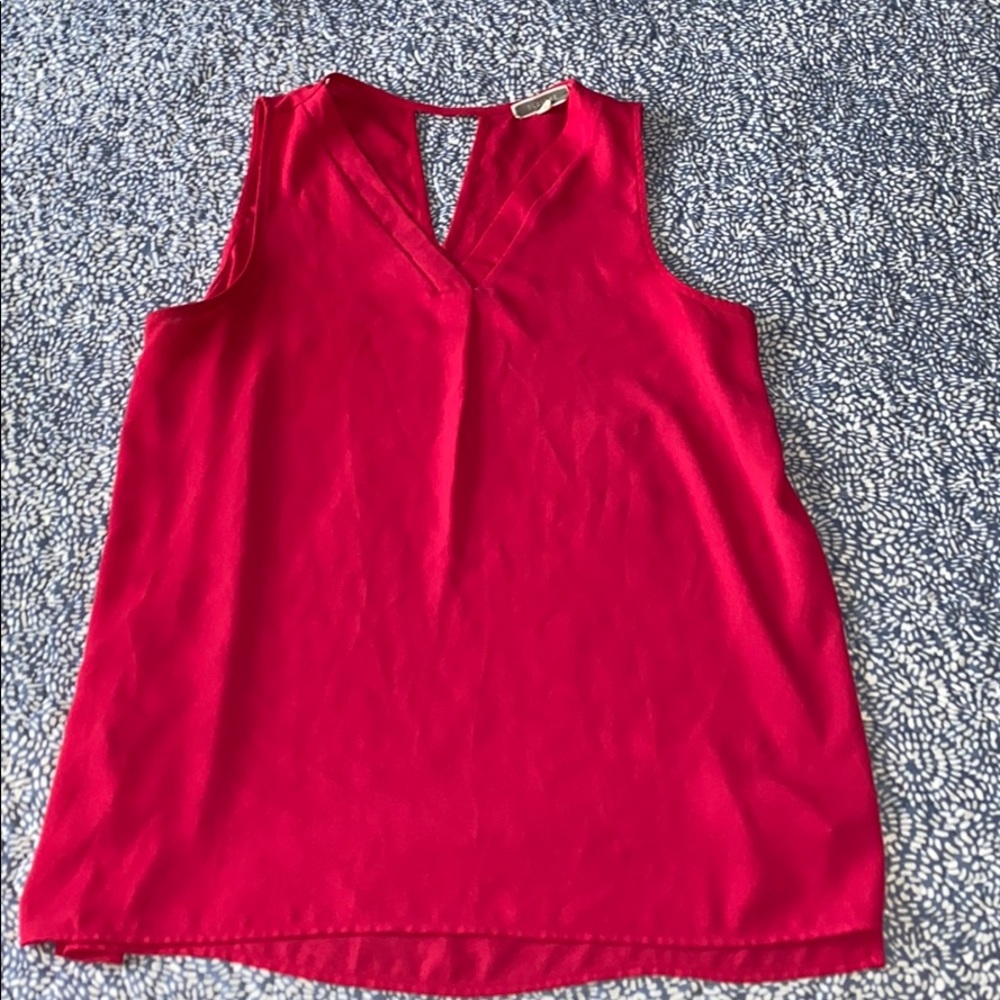 Pink Sheer Blouse